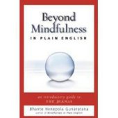 book Beyond Mindfulness in Plain English