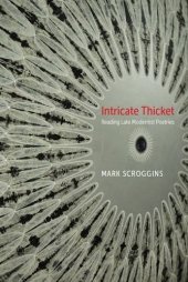 book Intricate thicket : reading late modernist poetries