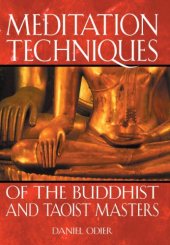 book Nirvana Tao : the secret meditation techniques of the Taoist and Buddhist masters