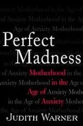 book Perfect madness : motherhood in the age of anxiety