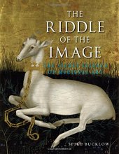 book The riddle of the image : the secret science of medieval art