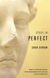 book Study in perfect : essays