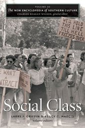 book The New Encyclopedia of Southern Culture: Volume 20: Social Class