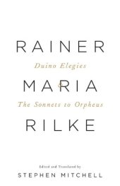 book Duino elegies ; and, the sonnets to Orpheus