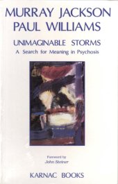 book Unimaginable storms : a search for meaning in psychosis