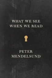 book What we see when we read : a phenomenology ; with illustrations