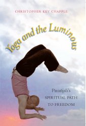 book Yoga and the Luminous: Patanjali's Spiritual Path to Freedom