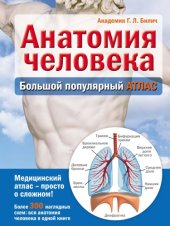 book Анатомия человека. Большой популярный атлас