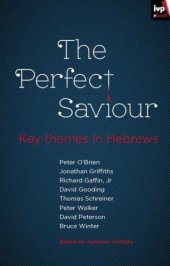 book The Perfect Saviour