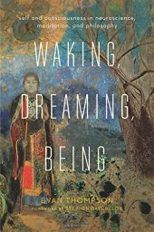 book Waking, dreaming, being : new light on the self and consciousness from neuroscience, meditation, and philosophy