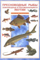 book Пресноводные рыбы, земноводные и пресмыкающиеся Якутии