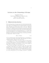 book Lectures on the Cohomology of Groups