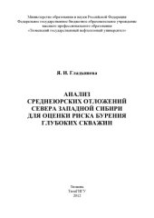 book Анализ среднеюрских отложений севера Западной Сибири для оценки риска бурения глубоких скважин