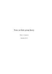 book Notes on finite group theory [Lecture notes]