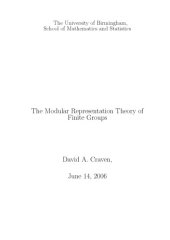 book The Modular Representation Theory of Finite Groups [PhD thesis]