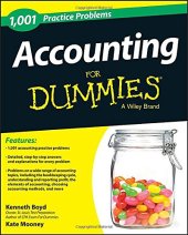 book 1,001 Accounting Practice Problems For Dummies