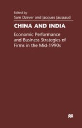 book China and India: Economic Performance and Business Strategies of Firms in the Mid 1990s