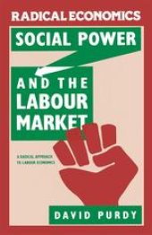 book Social Power and the Labour Market: A Radical Approach to Labour Economics