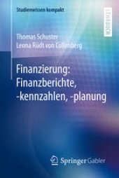 book Finanzierung: Finanzberichte, -kennzahlen, -planung