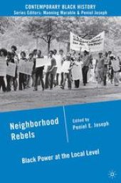 book Neighborhood Rebels: Black Power at the Local Level