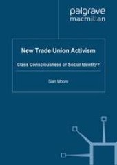 book New Trade Union Activism: Class Consciousness or Social Identity?