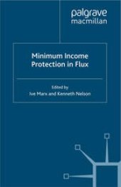 book Minimum Income Protection in Flux