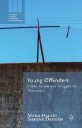 book Young Offenders: Crime, Prison and Struggles for Desistance