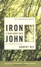 book Iron John: A Book About Men