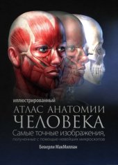 book Иллюстрированный атлас анатомии человека