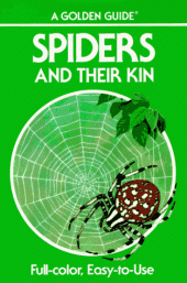 book A guide to spiders and their kin