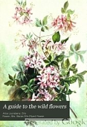 book A guide to the wild flowers