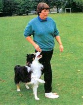 book Дрессировка собак с помощью кликера