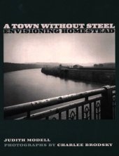 book A Town Without Steel: Envisioning Homestead