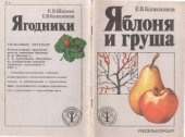 book Яблоня и груша