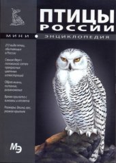 book Птицы России. Мини-энциклопедия.