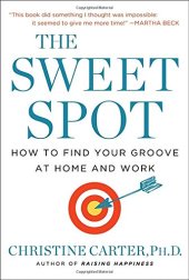 book The Sweet Spot: How to Find Your Groove at Home and Work