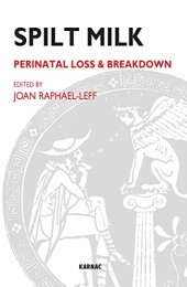 book Spilt Milk: Perinatal Loss & Breakdown