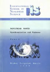 book Nonlinear waves, synchronization and patterns