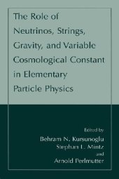 book The Role of Neutrinos, Strings, Gravity, and Variable Cosmological Constant in Particle Physics