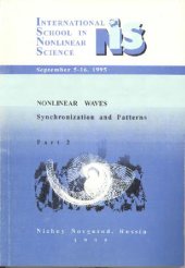 book Nonlinear waves, synchronization and patterns