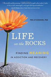 book Life on the Rocks: Finding Meaning in Addiction and Recovery