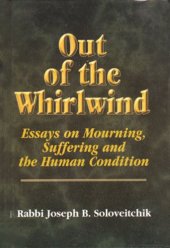 book Out of the Whirlwind: Essays on Mourning, Suffering and the Human Condition