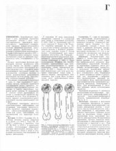 book Большая медицинская энциклопедия(БМЭ) Том 6