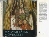 book Magyar tájak művészete