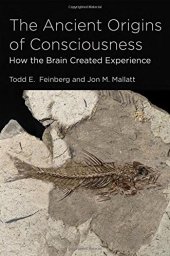 book The Ancient Origins of Consciousness: How the Brain Created Experience