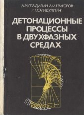 book Детонационные процессы в двухфазных средах