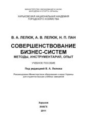 book Совершенствование бизнес-систем  методы, инструментарий, опыт