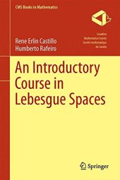 book An Introductory Course in Lebesgue Spaces