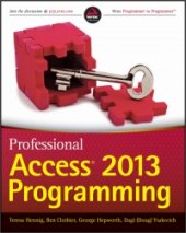 book Professional Access 2013 Programming