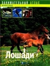 book Лошади